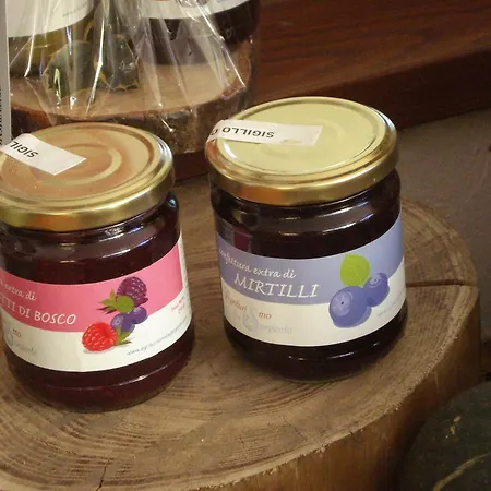 Agriturismo La Sorgente מלון דירות *